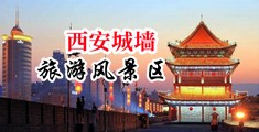 裸女抠逼网站中国陕西-西安城墙旅游风景区